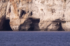 p1194528