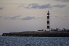 p1194558
