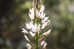 p1045564-enhanced-nr