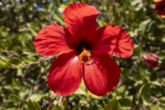 p1144983