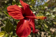 p1144987