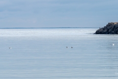 p1055596