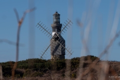 p1045478