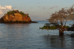 p1086114