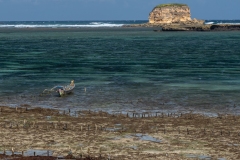 p1086388