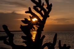 p1097793