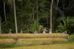 p1108688