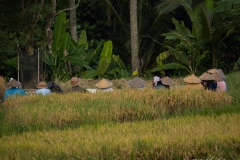 p1108710