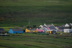 DSC00193