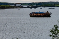 DSC00650