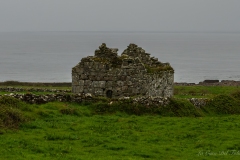DSC08872