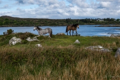 DSC09469