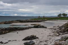 DSC09489