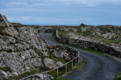 DSC09513