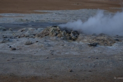 p1038840