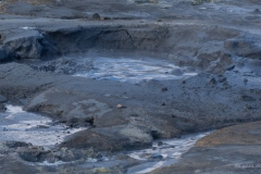 p1038842