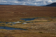 p1038867