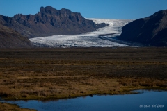 p1039075