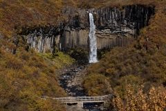 p1039091