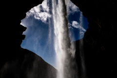 p1039352