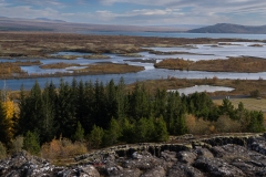 p1049654