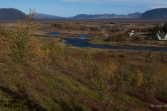 p1049660