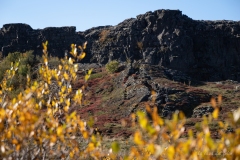 p1049667