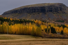 p1049832