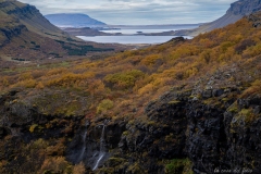 p1049881