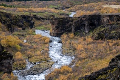 p1049891