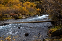 p1049894