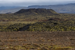 p1049967