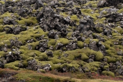 p1049972