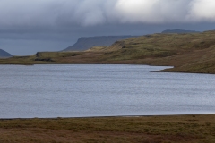 p1049979