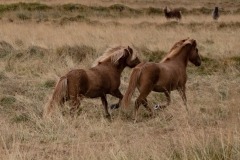 p1049993