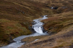 p1050005