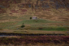 p1050021