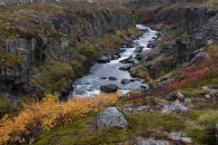 p1050039