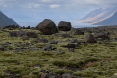 p1050161
