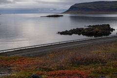 p1050312
