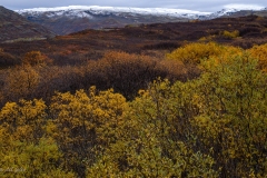 p1050317