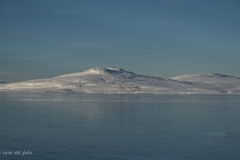 p1051503