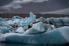 p1560221