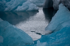 p1560268
