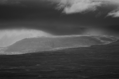 p1560455