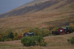 p1560470
