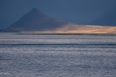 p1560632