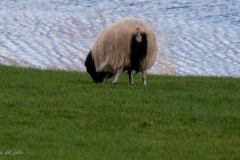 p1560634