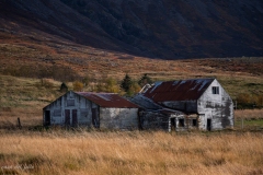 p1560662