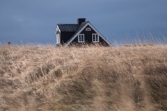 p1560835